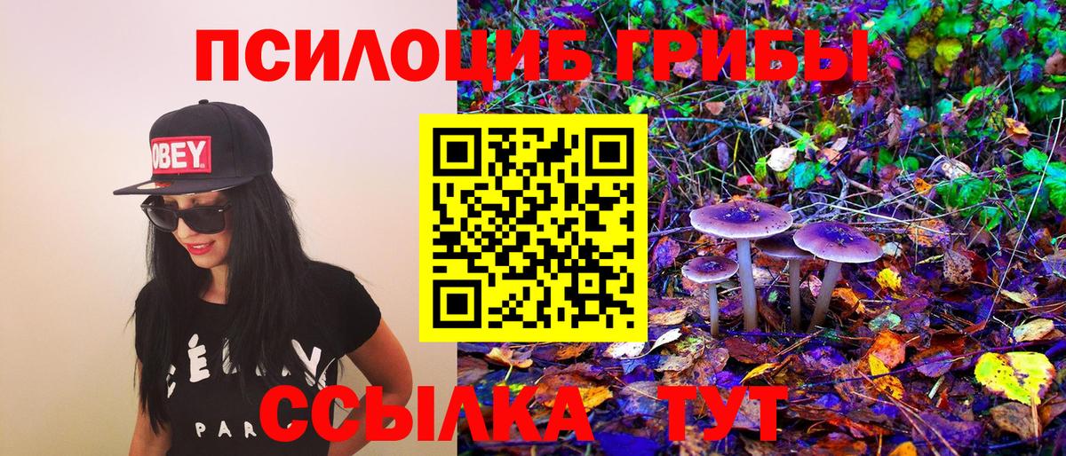 Галлюциногенные грибы ЛСД Вятские Поляны