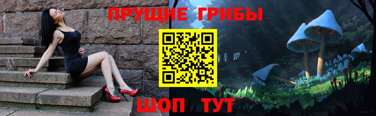 Вятские Поляны  Псилоцибиновые грибы Magic Shrooms  Вход с VPN 